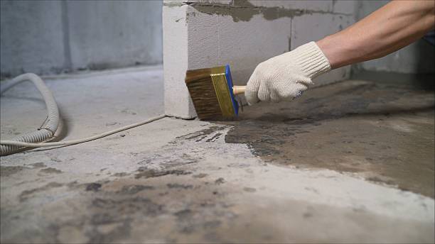 SJ Waterproofing Pros Waterproofing coverage map for Coleman, MI and surrounding area
